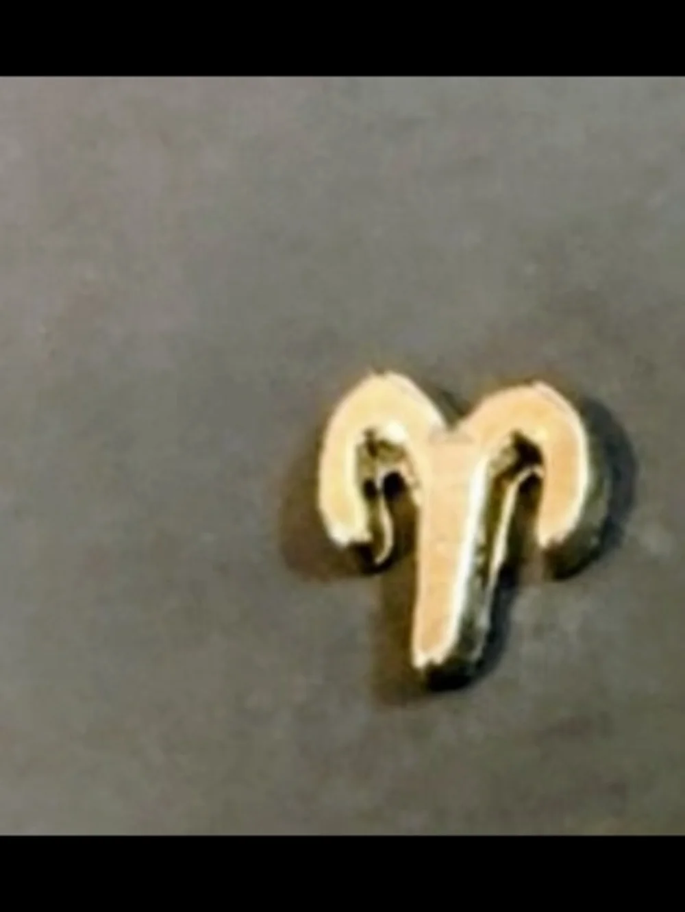 Aries ♈️ Zodiac Charm For Floating Lockets